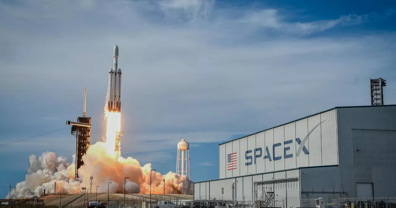 US-Behörde: SpaceX-Raketen müssen am Boden bleiben