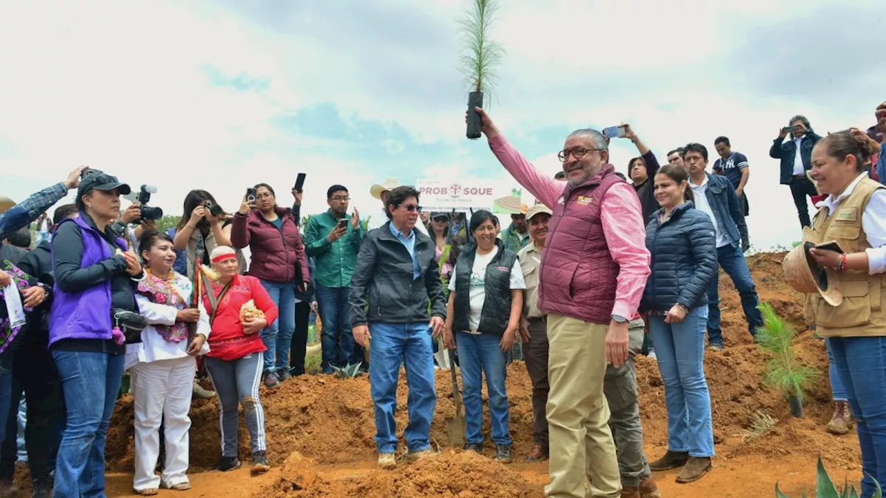 Gobierno del Estado de México pone en marcha Plan de Restauración Forestal y entrega apoyos económicos a ejida