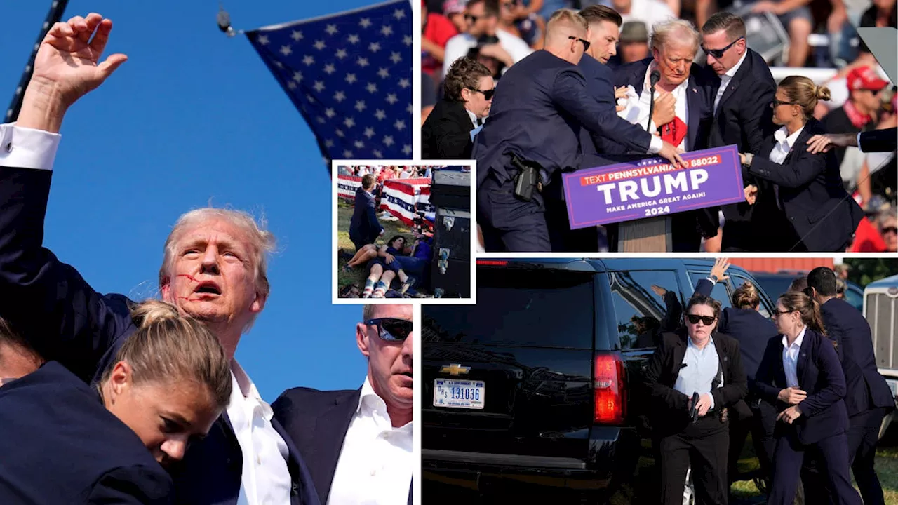 Pictured: Shocking scenes as gunman shoots Donald Trump during rally leaving one bystander dead