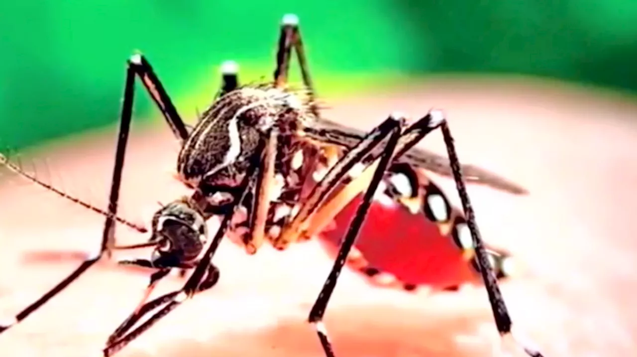 Mobile County Health Department working to control mosquito population