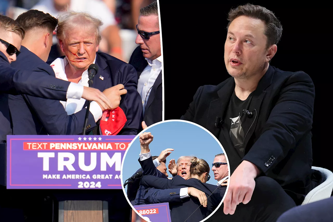 Elon Musk praises 'tough' Donald Trump after former president is shot at rally