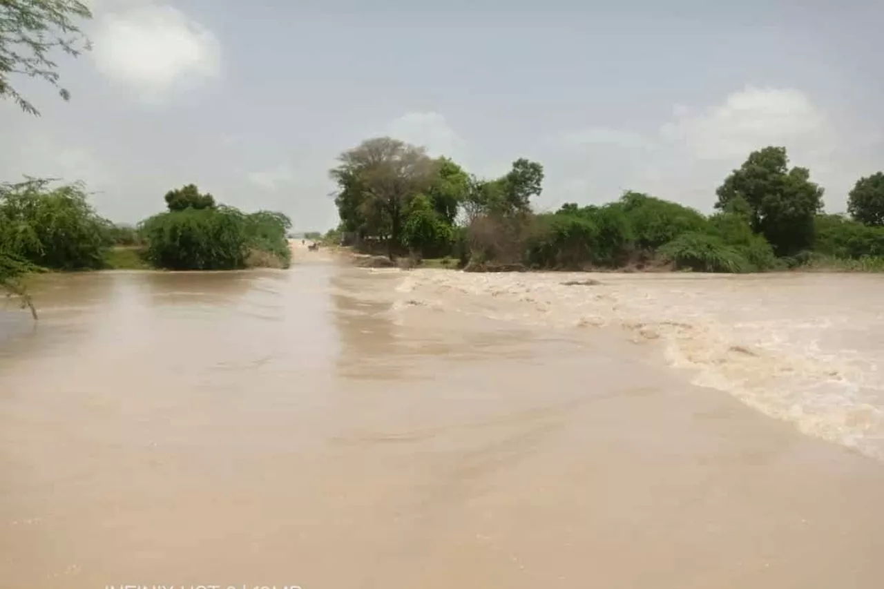 Rajasthan Monsoon: रातभर बरसे मेघ… नदी नाले उफान पर, दर्जनों गांवों के मार्ग हुए बंद