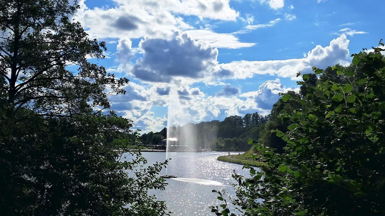 Météo en Belgique : plein soleil ce dimanche matin, plus de nuages l'après-midi