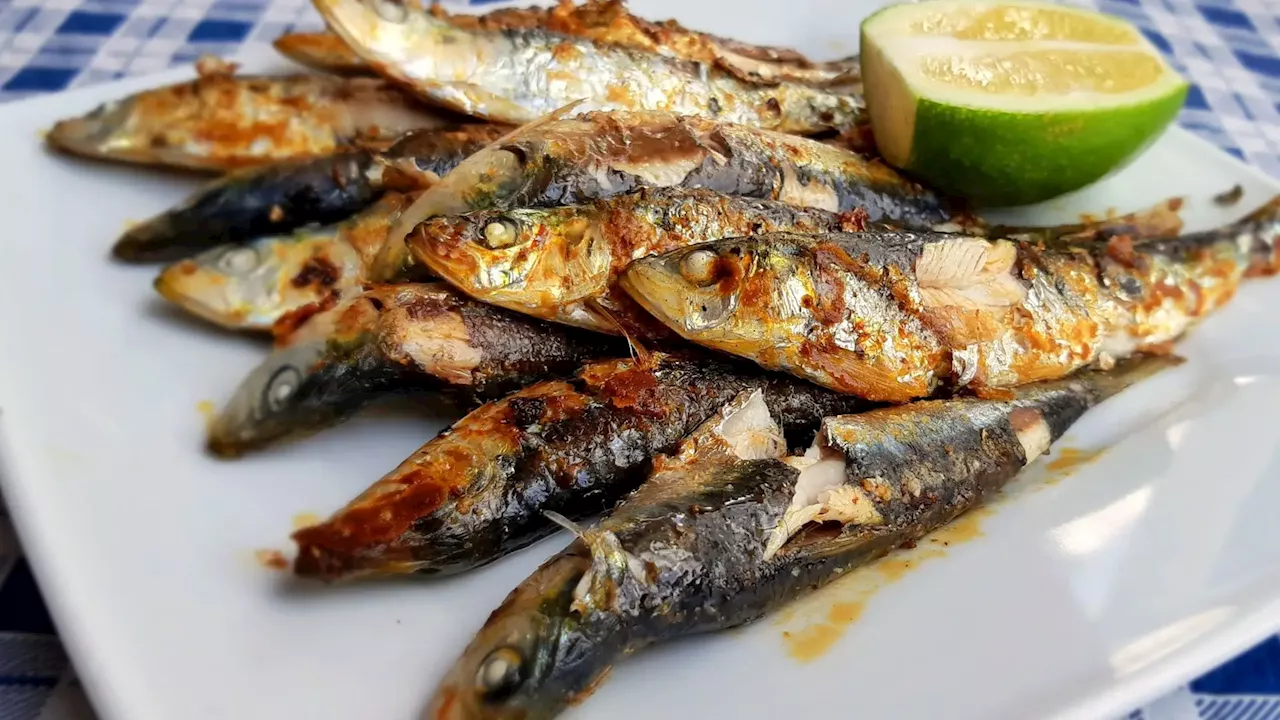 Semana da sardinha Setúbal, são 50 restaurantes com menus diversificados