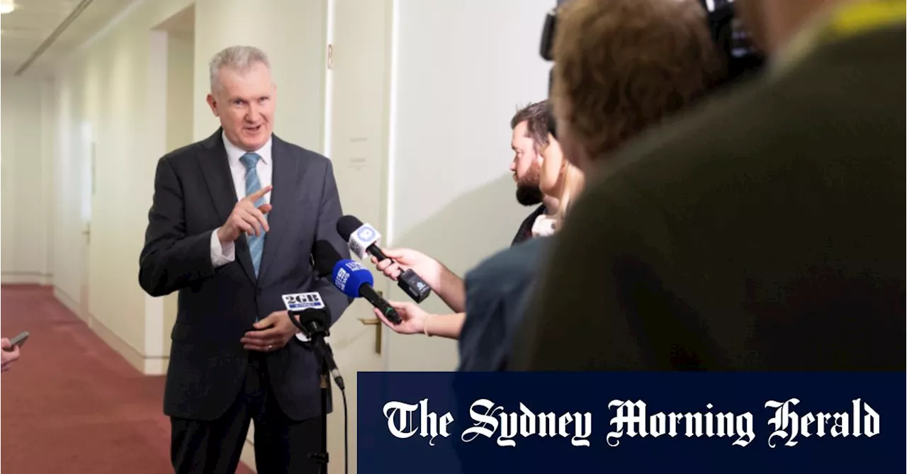 ‘Everything on the table’: Burke weighs deregistration of CFMEU amid revelations