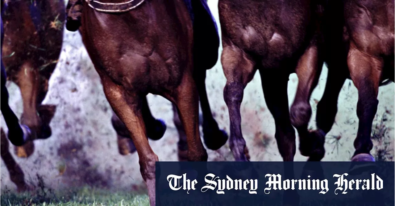 Race-by-race preview and tips for Dubbo on Monday