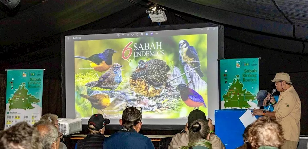 Sabah to promote birdwatching at Global Bird Fair