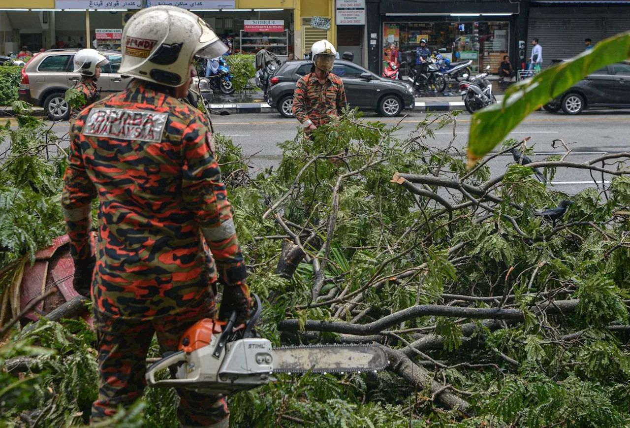 Storm uproots 17 trees in Melaka