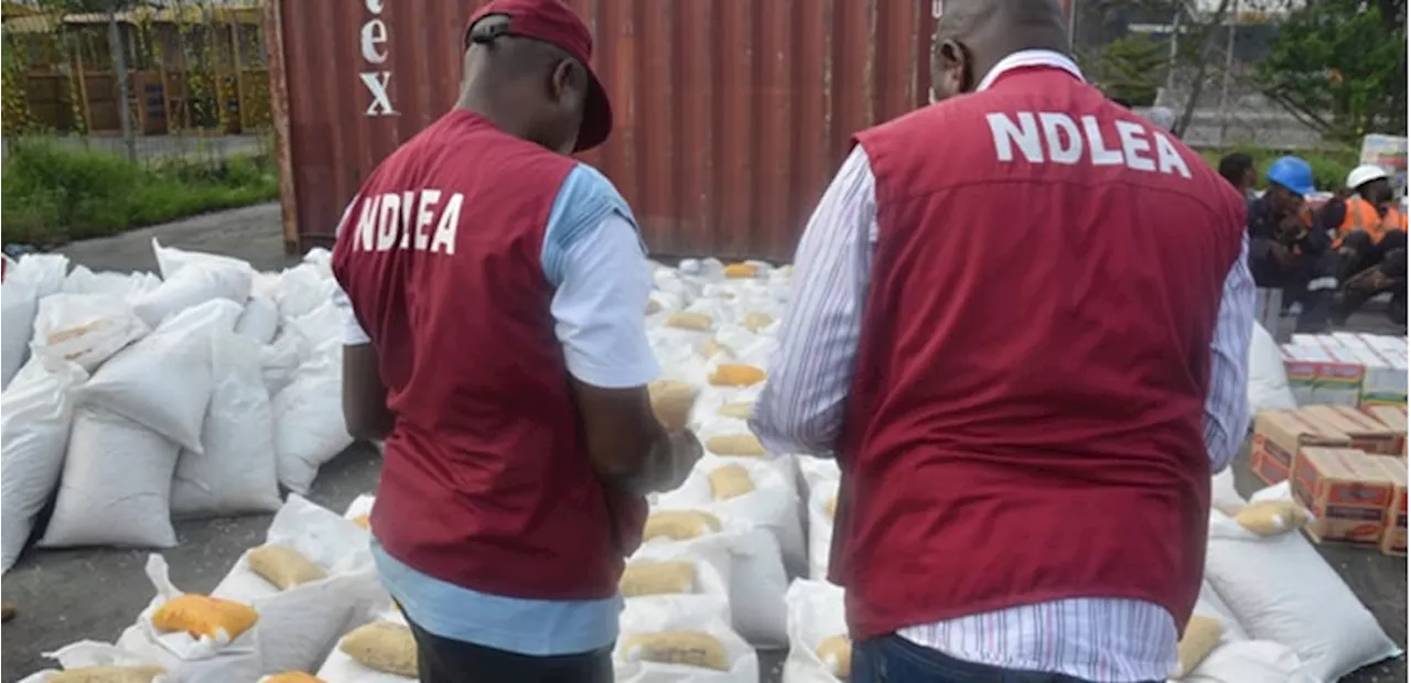 NDLEA foils plot to export cocaine, opioids to USA, UK, Europe in Lagos
