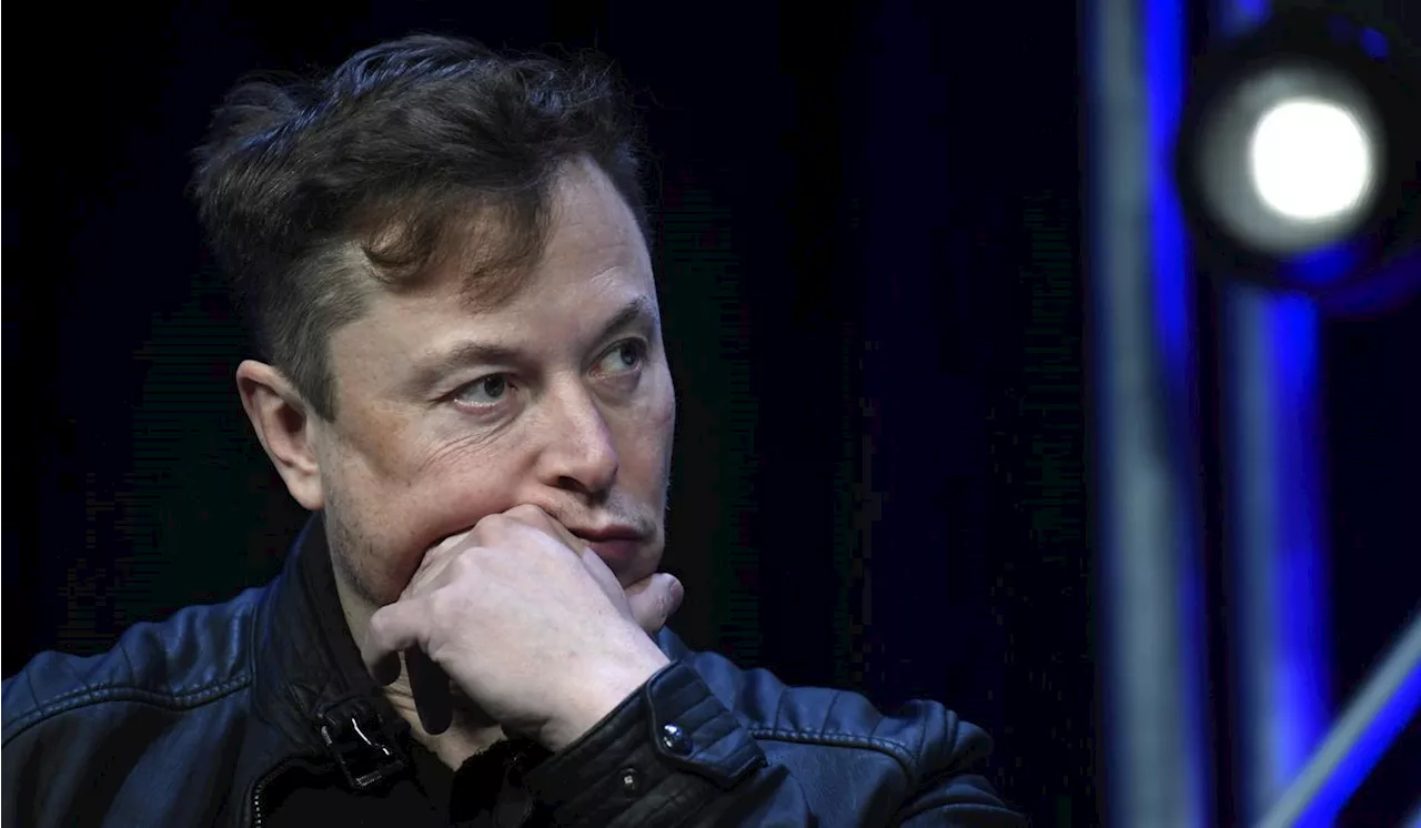 Elon Musk endorses Donald Trump following shooting at MAGA rally