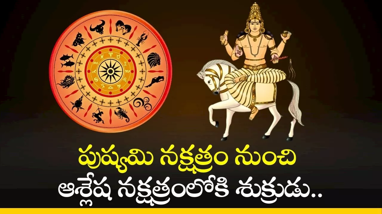 Venus Transit 2024: ఆశ్లేష నక్షత్రంలోకి శుక్రుడు.. ఈ రాశుల వారికి డబ్బే డబ్బు..