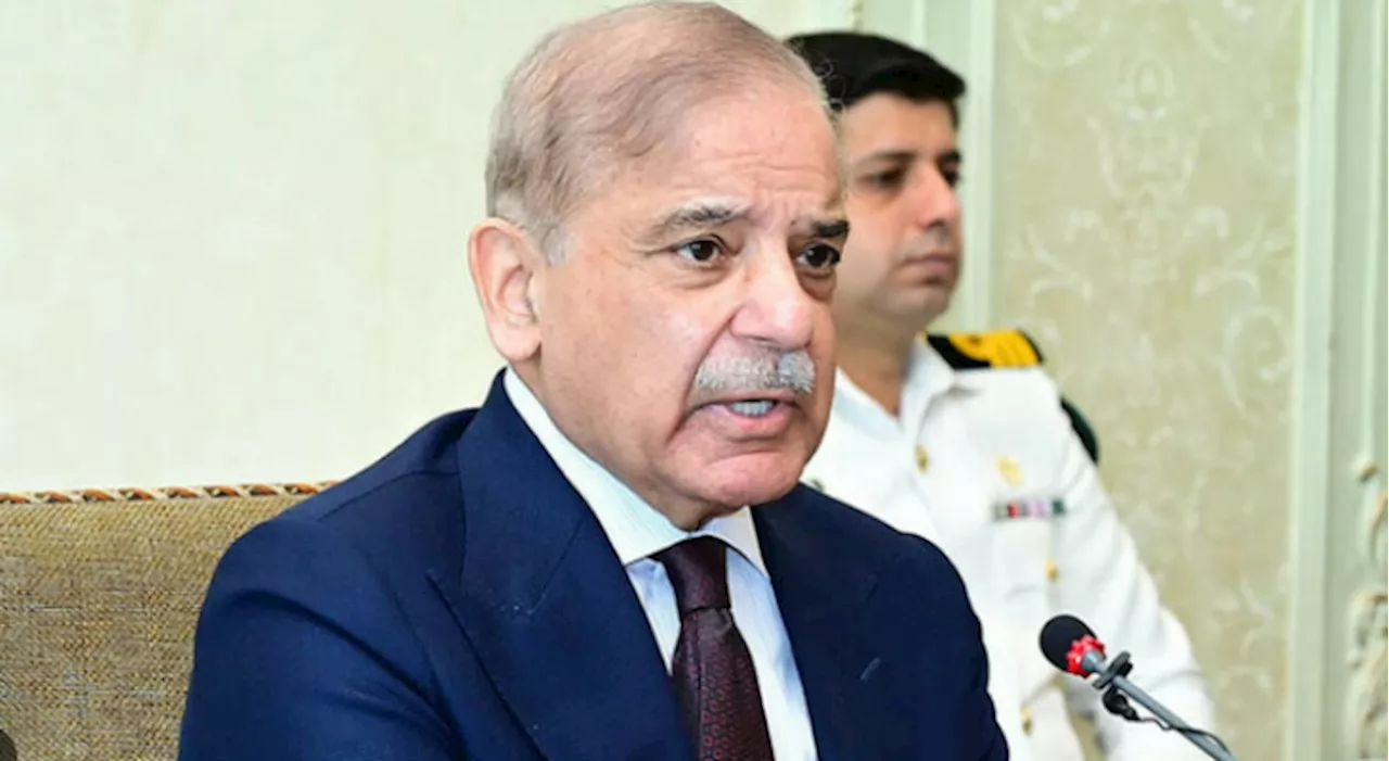 PM Shehbaz greets UAE’s FM on appointment as deputy PM