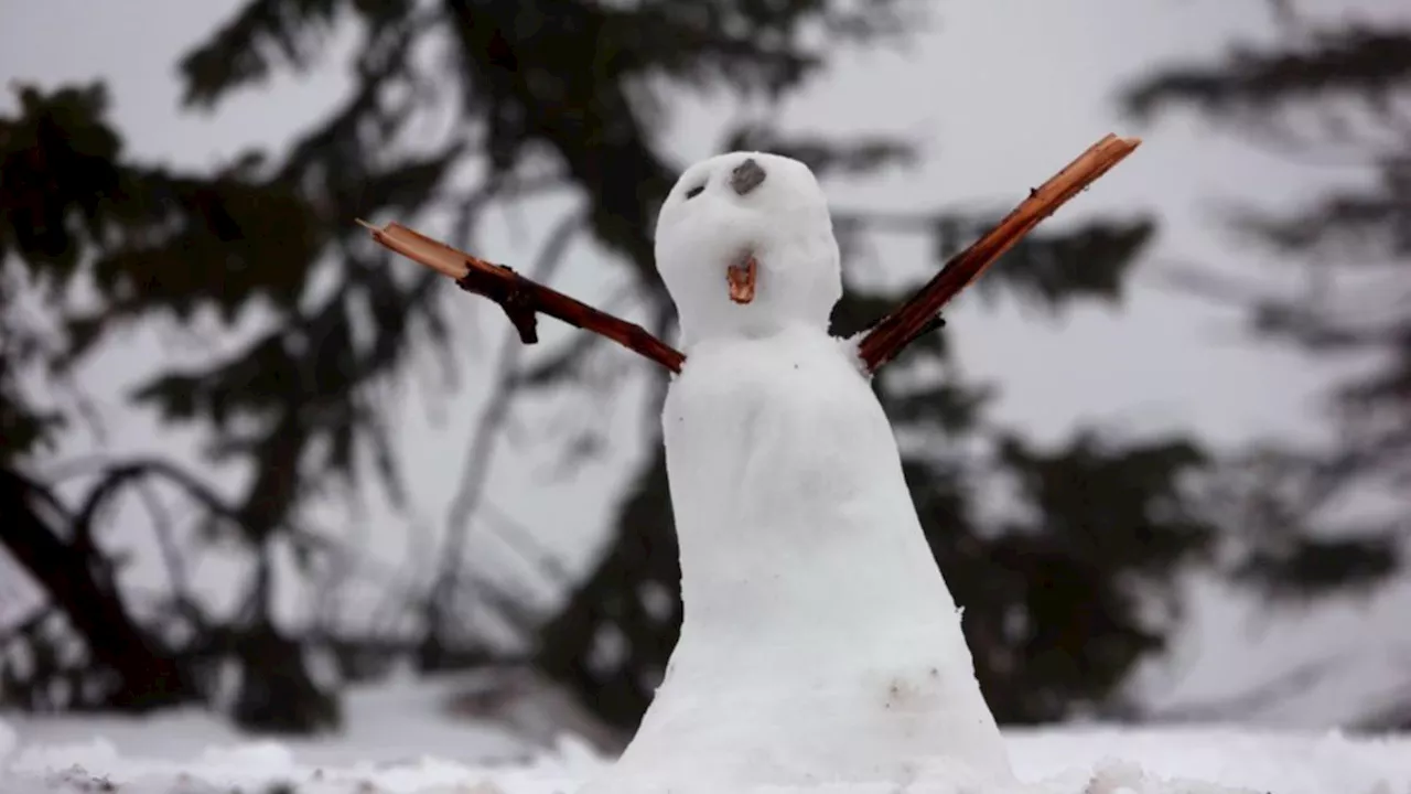 Cold snap brings small chance of snow to southern Queensland, says 7NEWS meteorologist Tony Auden