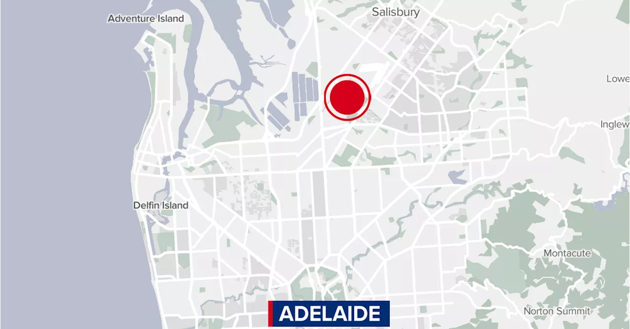 Investigation launched after sword-wielding man dies from 'self-inflicted' injuries inside Adelaide apartment