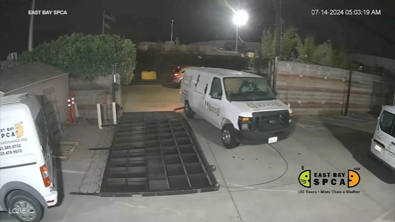 VIDEO: Suspect rams gate of East Bay SPCA, steals large transport van