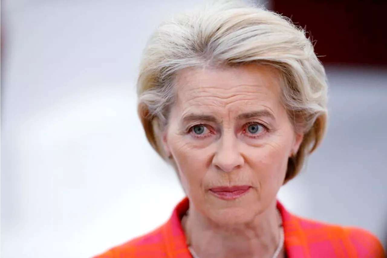 Von der Leyen a The Left: 'Manterremo barra dritta sulla transizione. L'Ue sia unita'