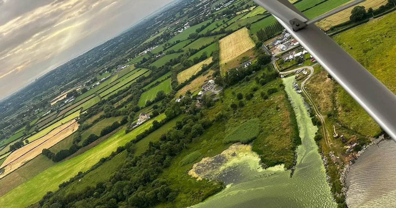 Lough Neagh blue-green algae spread