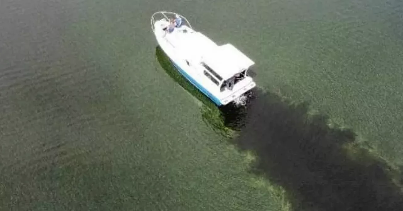 Lough Neagh 'rotten' with algae as politicians accused of holding 'talking shop'