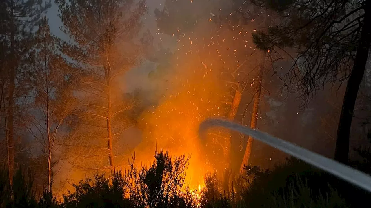 Alpes-Maritimes: près d'un hectare de végétation détruit par un feu de forêt à Peille