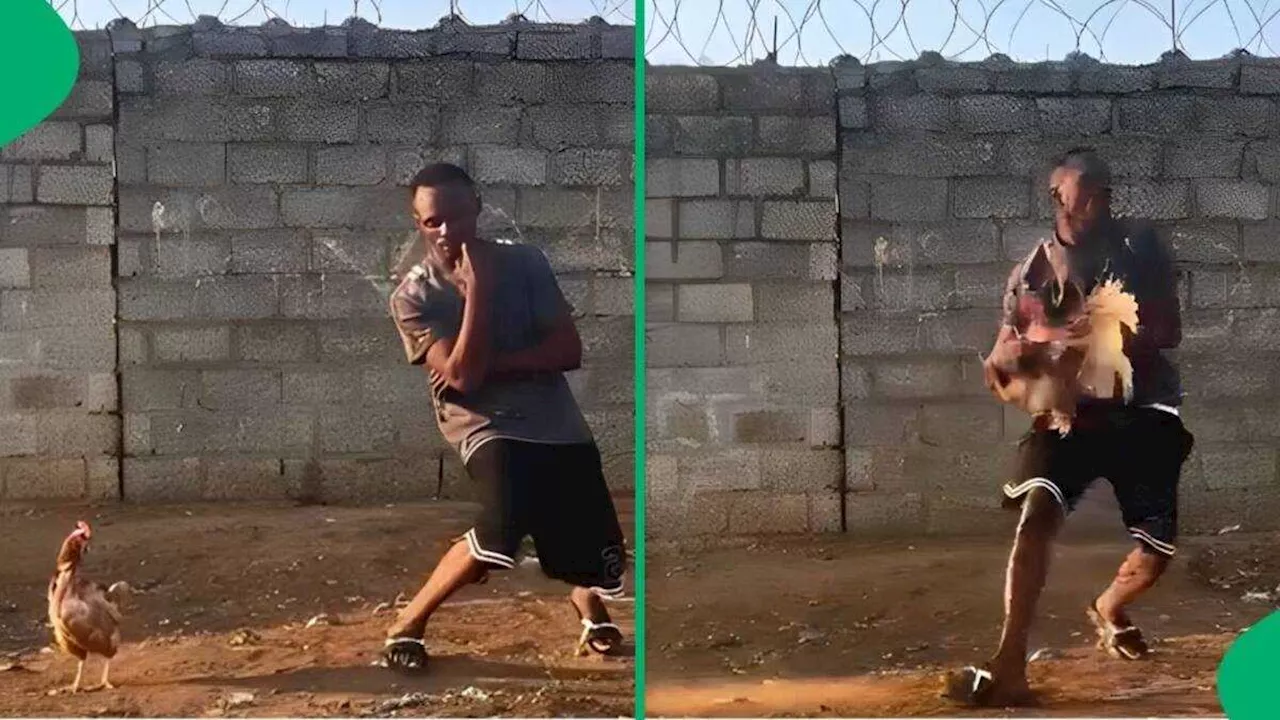 Man Shows Off Skills, Falls Like Jackie Chan and Catches Chicken in a Flash