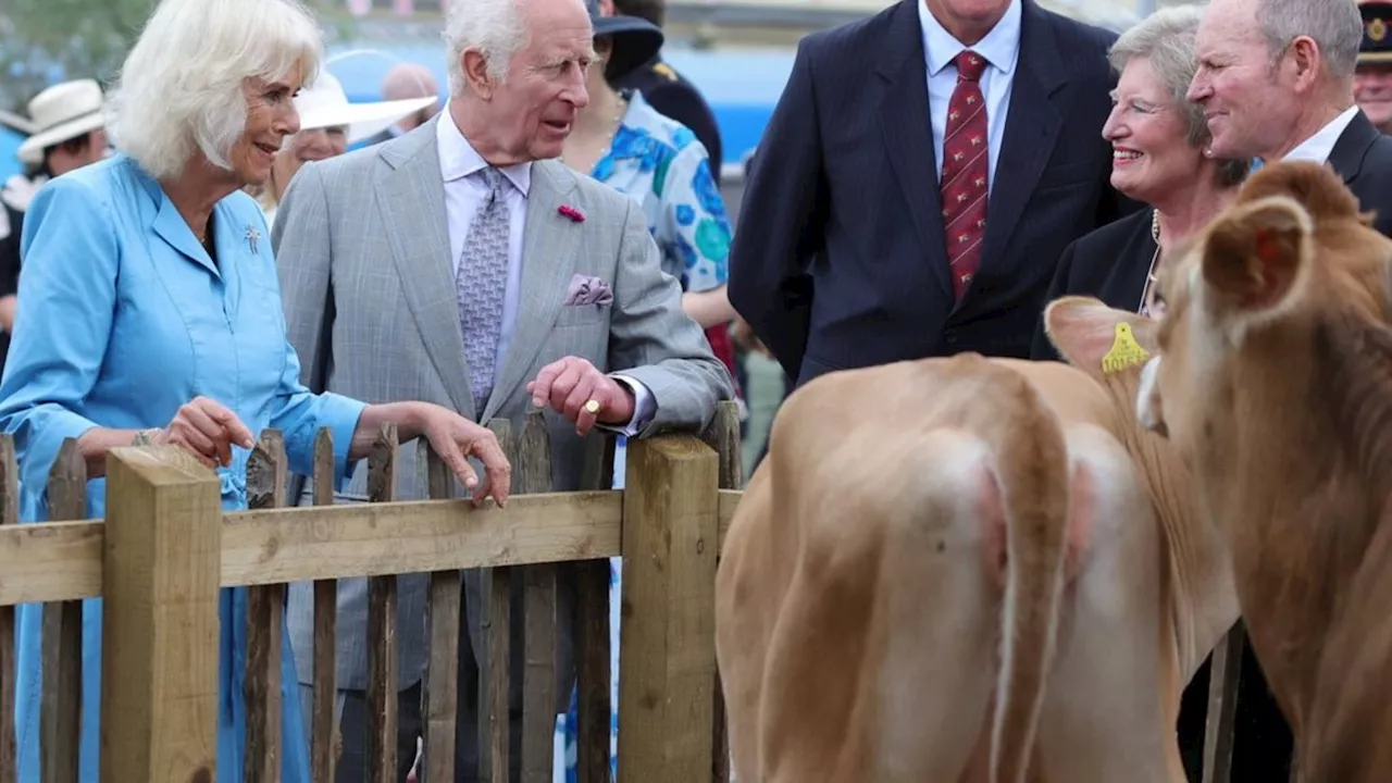 König Charles und Königin Camilla: Überraschendes Geschenk für den König auf den Kanalinseln