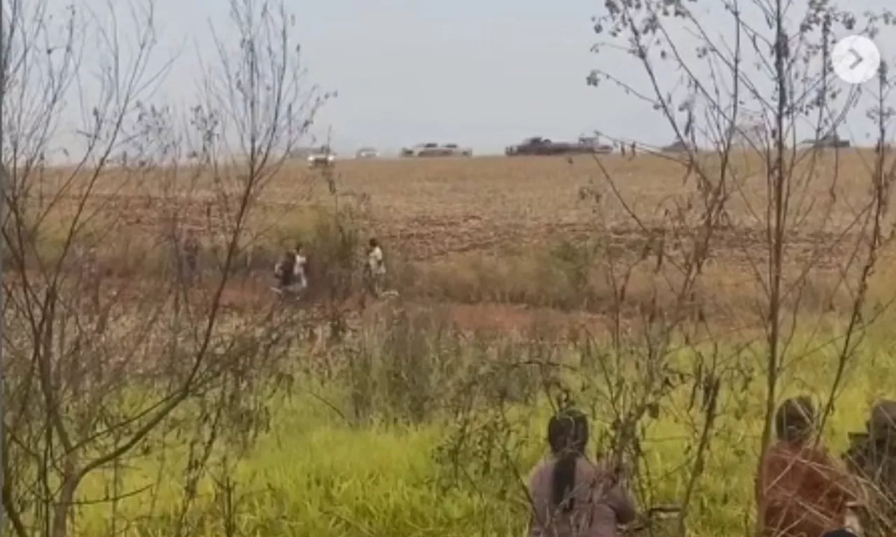 Indígena é baleado durante ocupação de fazenda em Mato Grosso do Sul