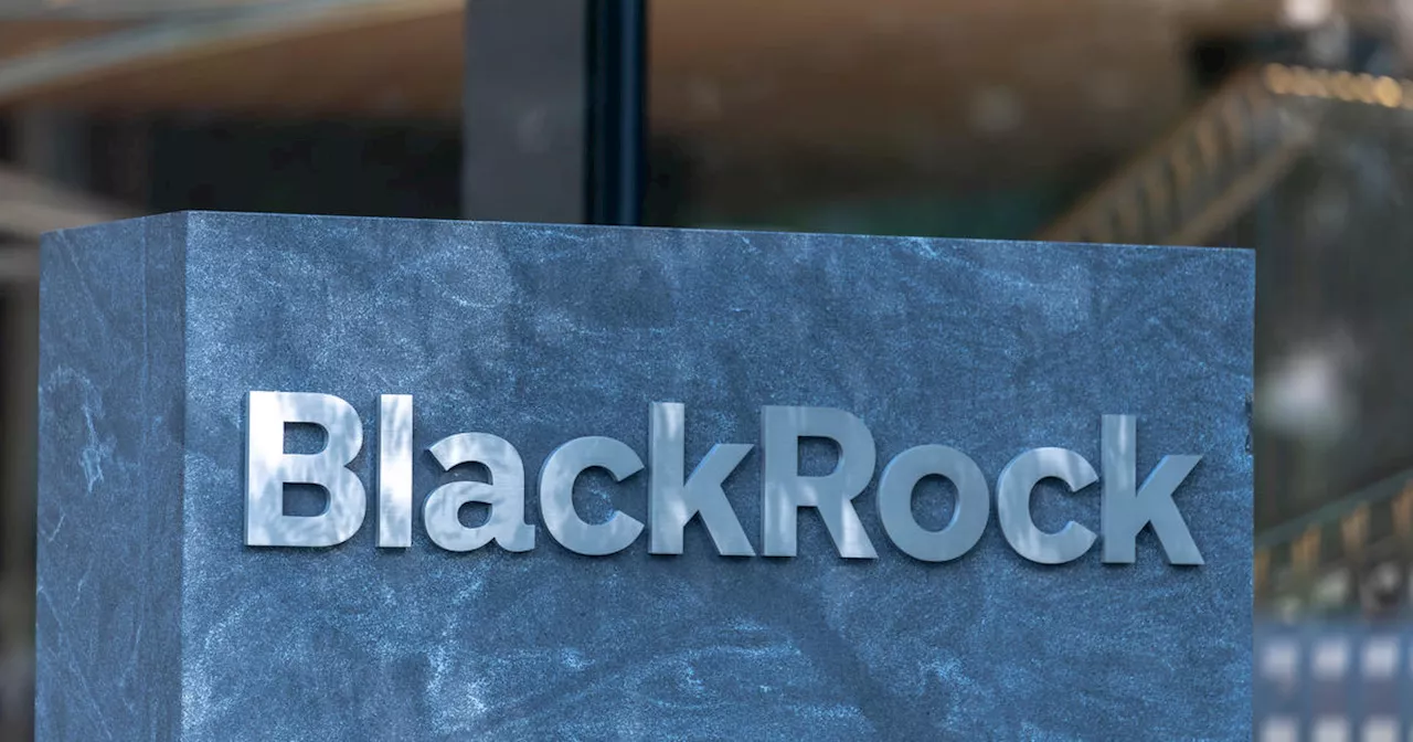 Thomas Matthew Crooks appeared in a 2022 BlackRock ad