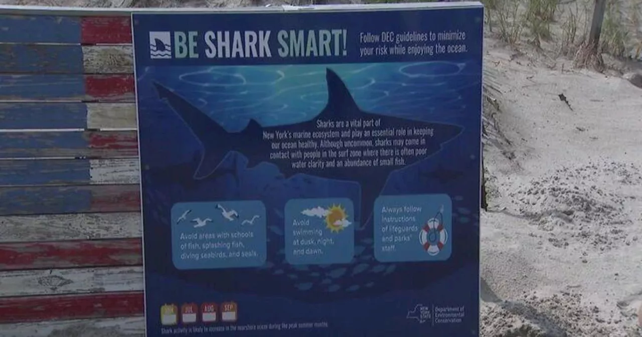 Shark sightings, rough seas prompt Nassau County officials to issue tips on beach safety