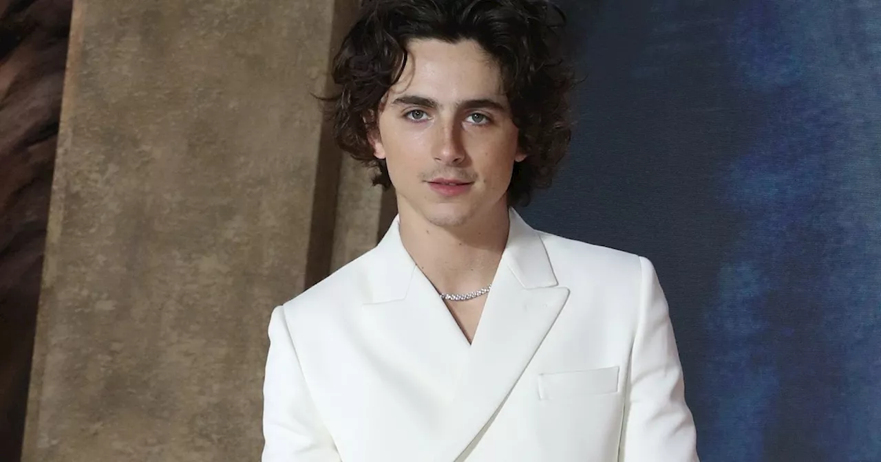 Timothée Chalmet to Star in A24 Josh Safdie Ping Pong Movie Marty Supreme, Poster Released