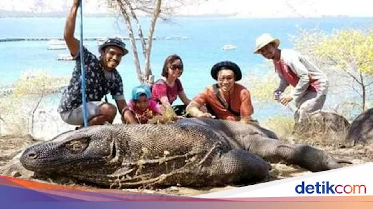 Taman Nasional Komodo Direncanakan Tutup untuk Wisata pada 2025