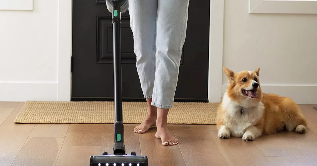 Best Wyze Prime Day deals: cordless vacuums, video doorbells, and more