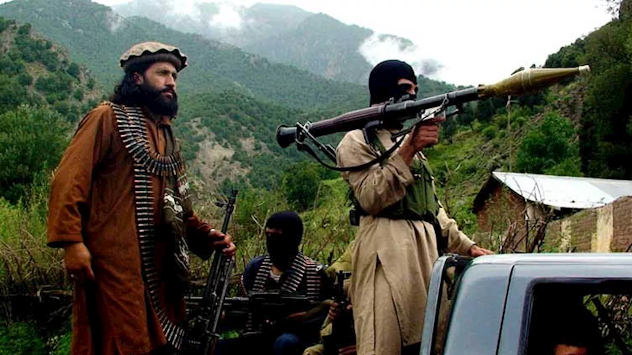 UN report declares unabated TTP as largest terror group in Afghanistan