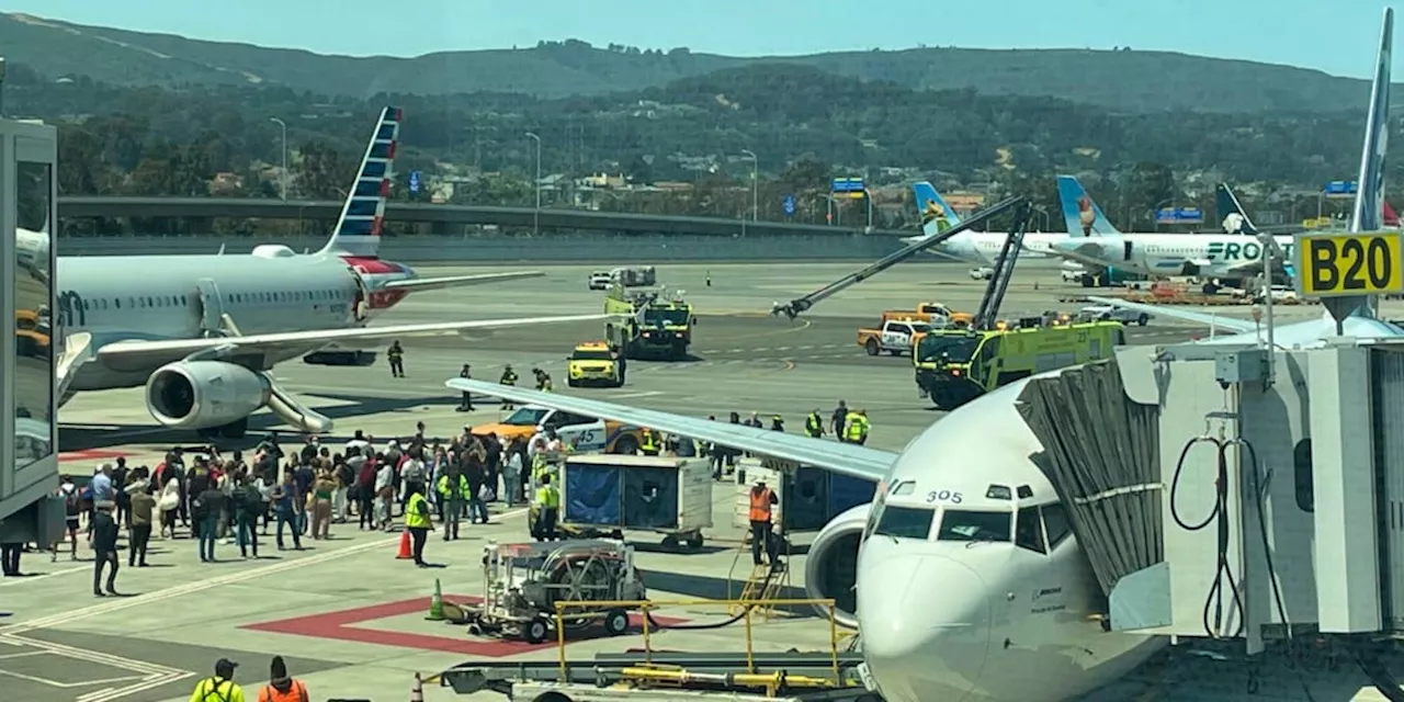 Flug von American Airlines : Pöbeln, streiten und diskutieren: Wie eine Evakuierung nicht laufen sollte