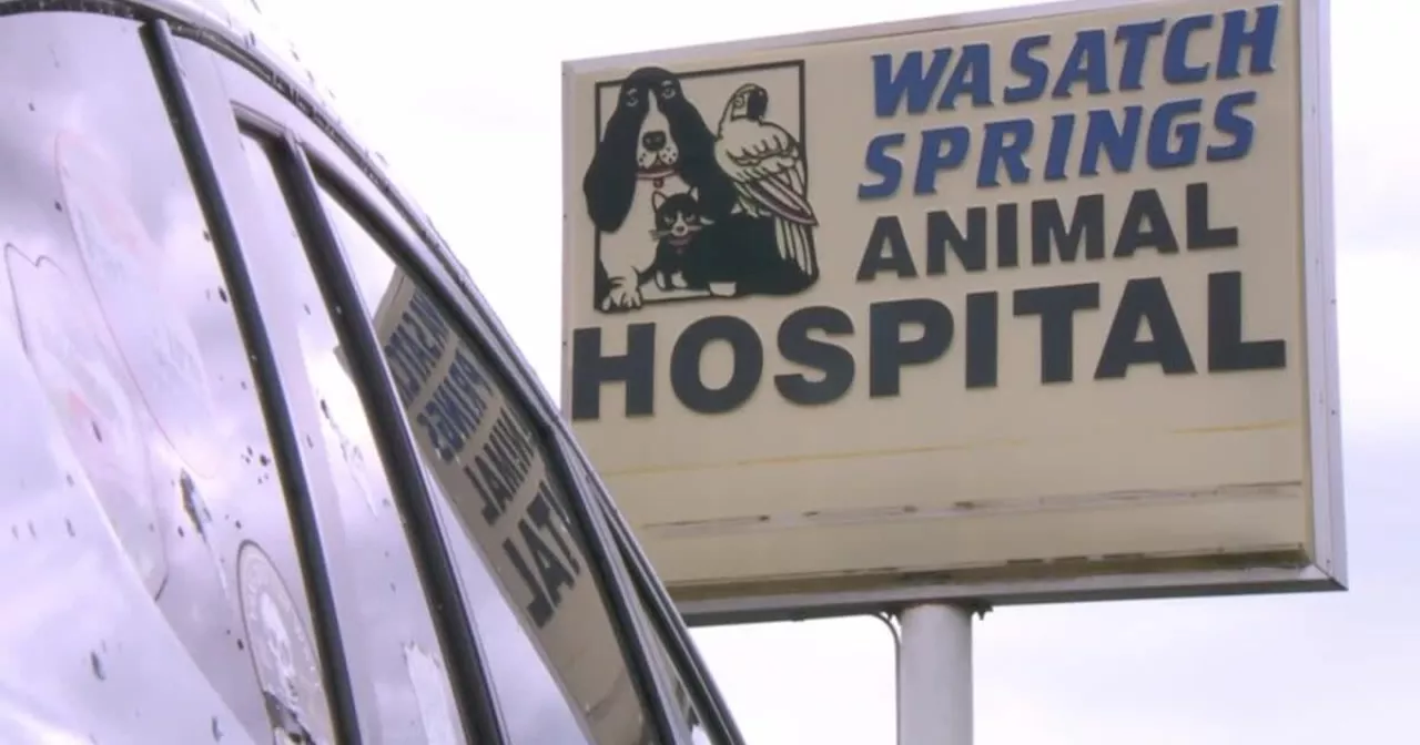 Utah veterinarian under investigation after several pets die in his care