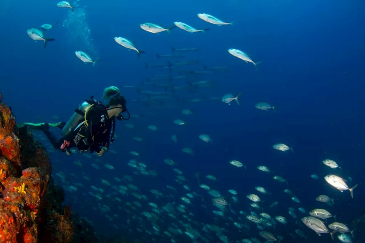 Panama’s less-travelled Pacific Coast is home to nature’s best – and the country intends to keep it that way