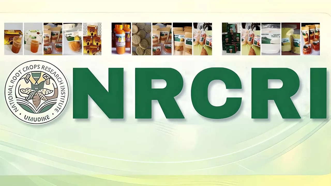 NRCRI, TCGRI–CATAS collaborate to enhance higher agricultural productivity