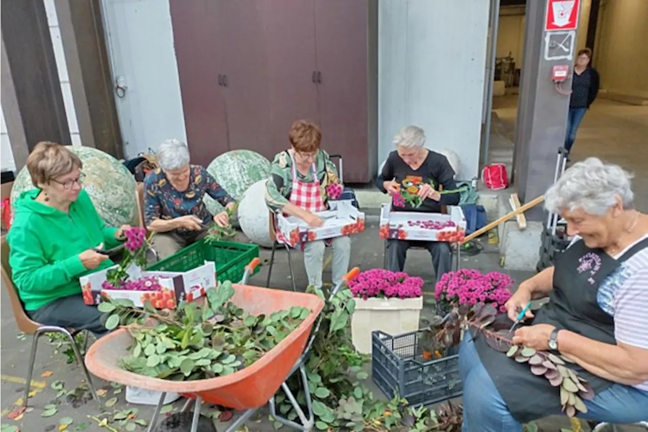 Hoogstraten in Groenten & bloemen zoekt vrijwilligers