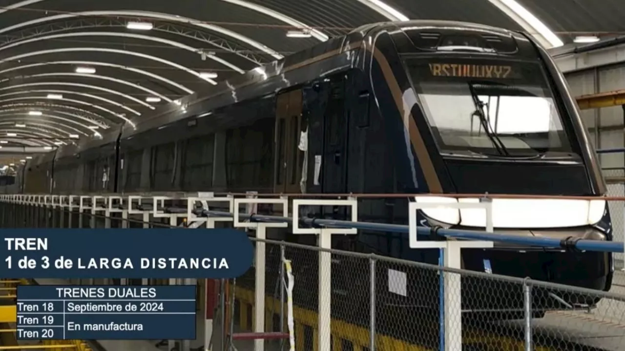 Tren Maya: la próxima semana presentarán el tren de larga distancia para recorridos nocturnos