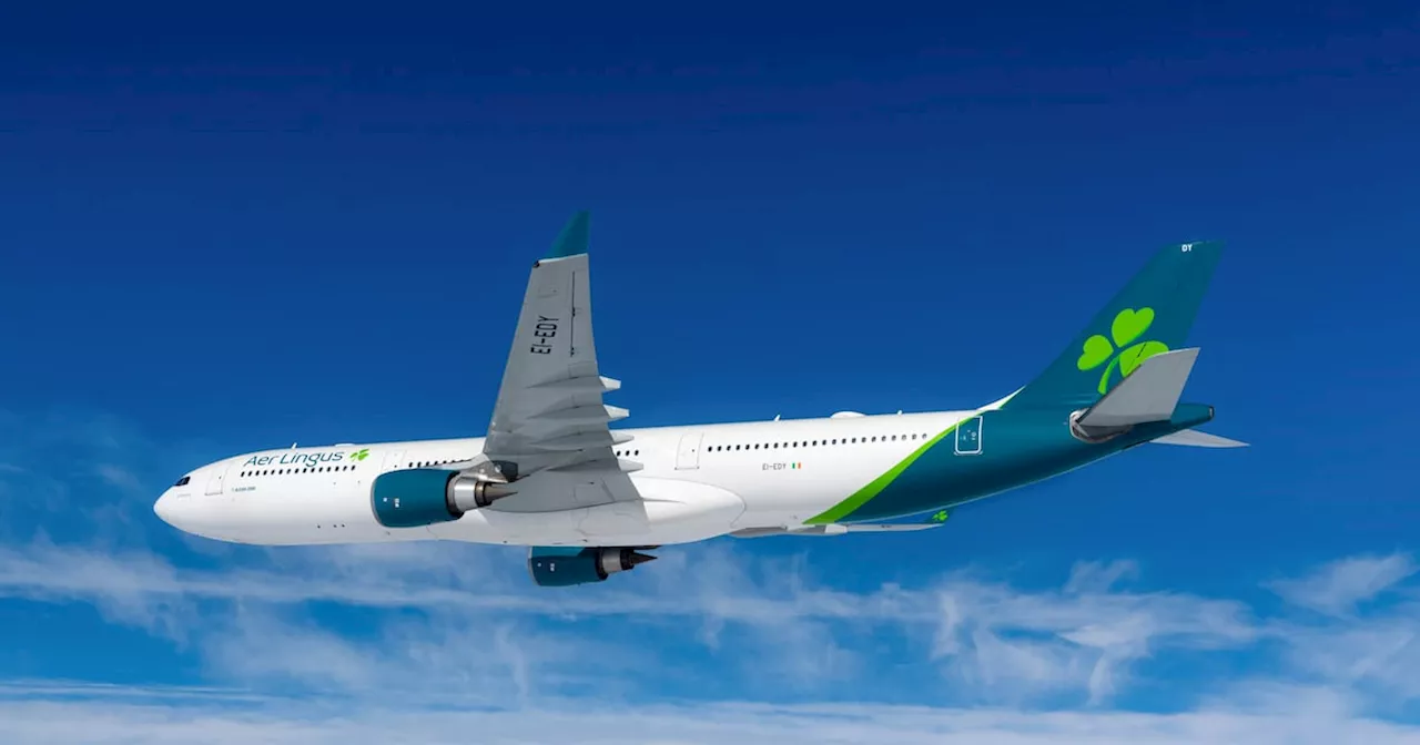 Aer Lingus cuts fares to lure passengers back as schedule returns to normal