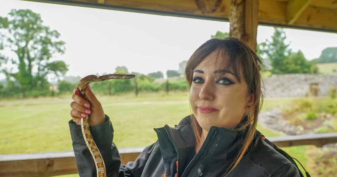 Dublin animal shelter reflects growing demand for snakes and exotic pets