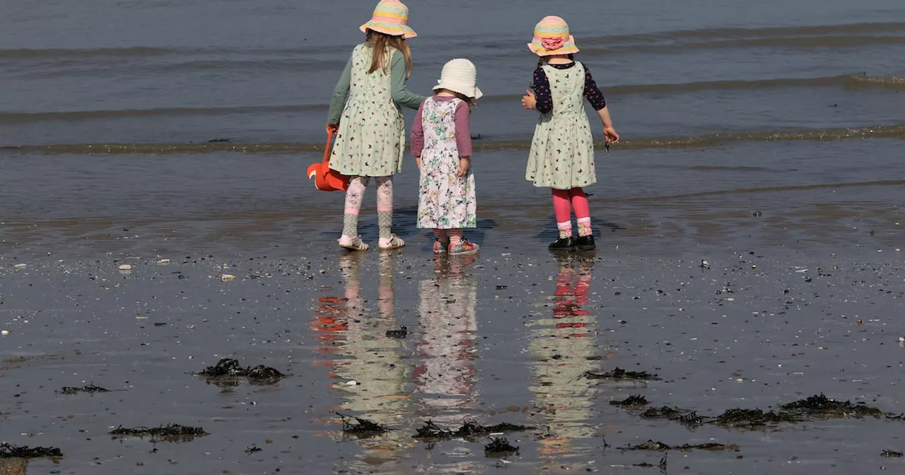 Swimmers told to avoid South Dublin bathing spot after water sampling