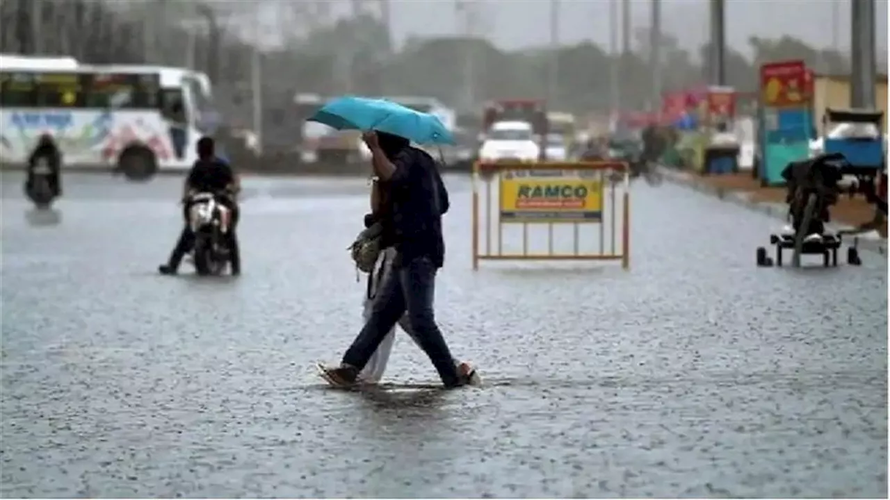 Rain Updates: IMD ने महाराष्ट्र, गोवा, केरल के लिए जारी किया रेड अलर्ट, आज रहेंगे स्कूल बंद; दिल्ली में हल्की बारिश का अनुमान