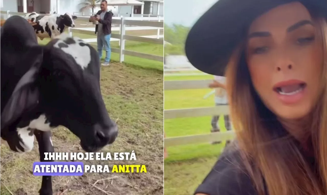 Vaca de Nicole Bahls corre atrás da modelo: 'Anitta vai me machucar'; veja vídeo