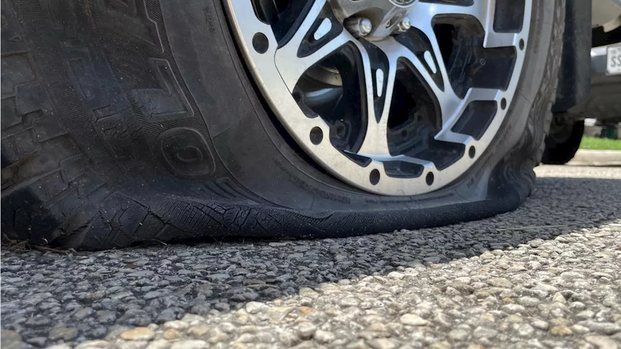 $1,000 reward offered for arrest of tire slasher in east side neighborhood