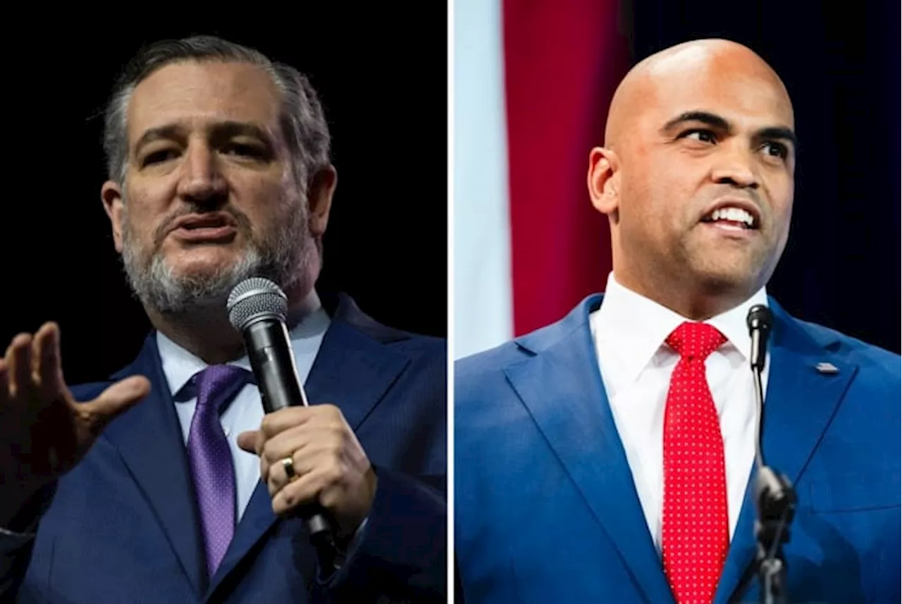 Allred outraises Cruz in latest quarter, but Cruz has more cash on hand