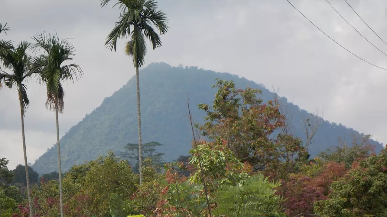 6 Fakta Menarik Gunung Tangkit Tebak yang Dijuluki Gunung Raung-nya Lampung