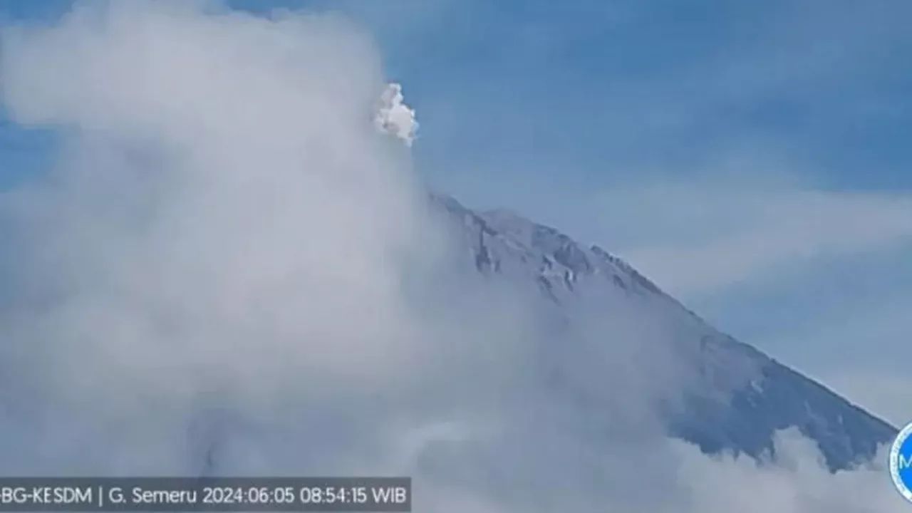 Gunung Semeru Gunung Semeru Alami 31 Kali Gempa Letusan Pada Senin Pagi Hari Ini