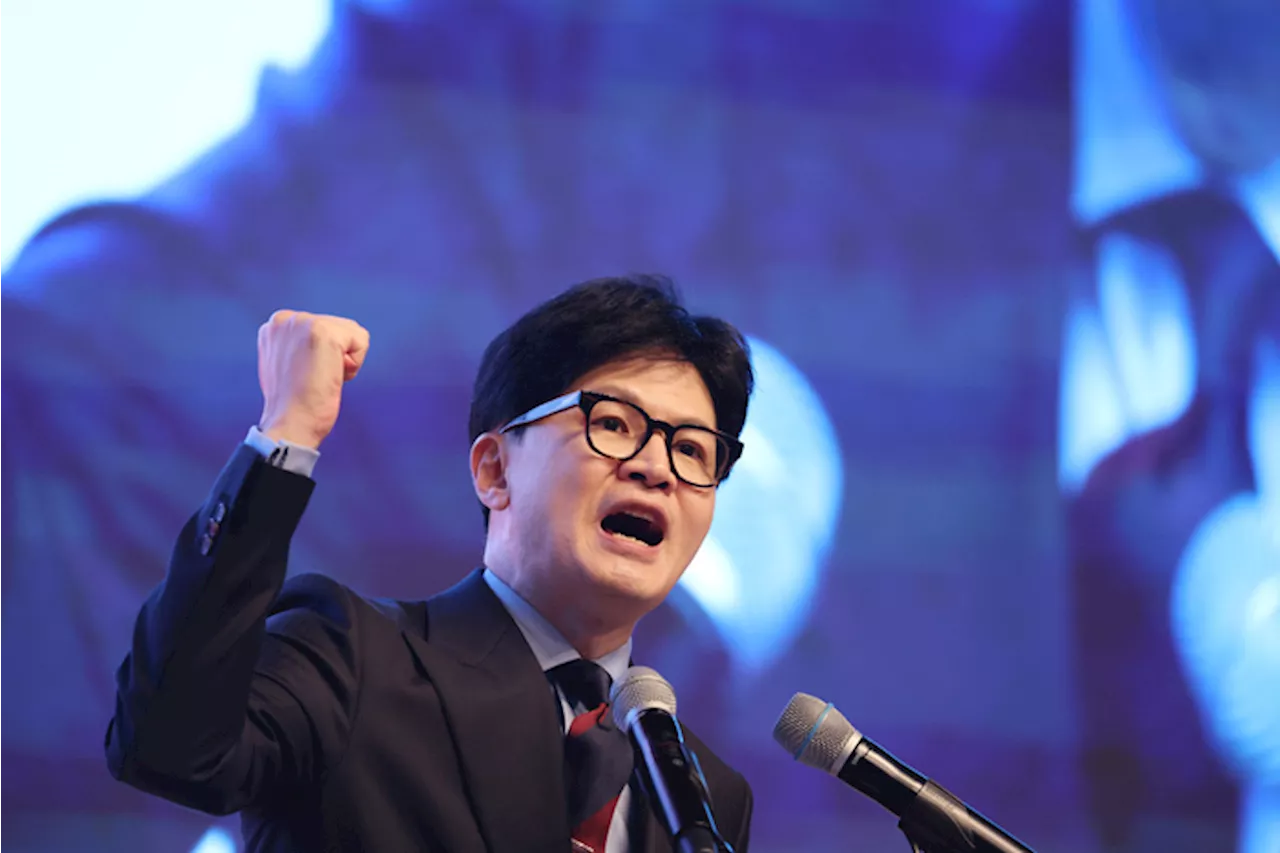 野 “한동훈 댓글, 24개 계정 6만개 의심”