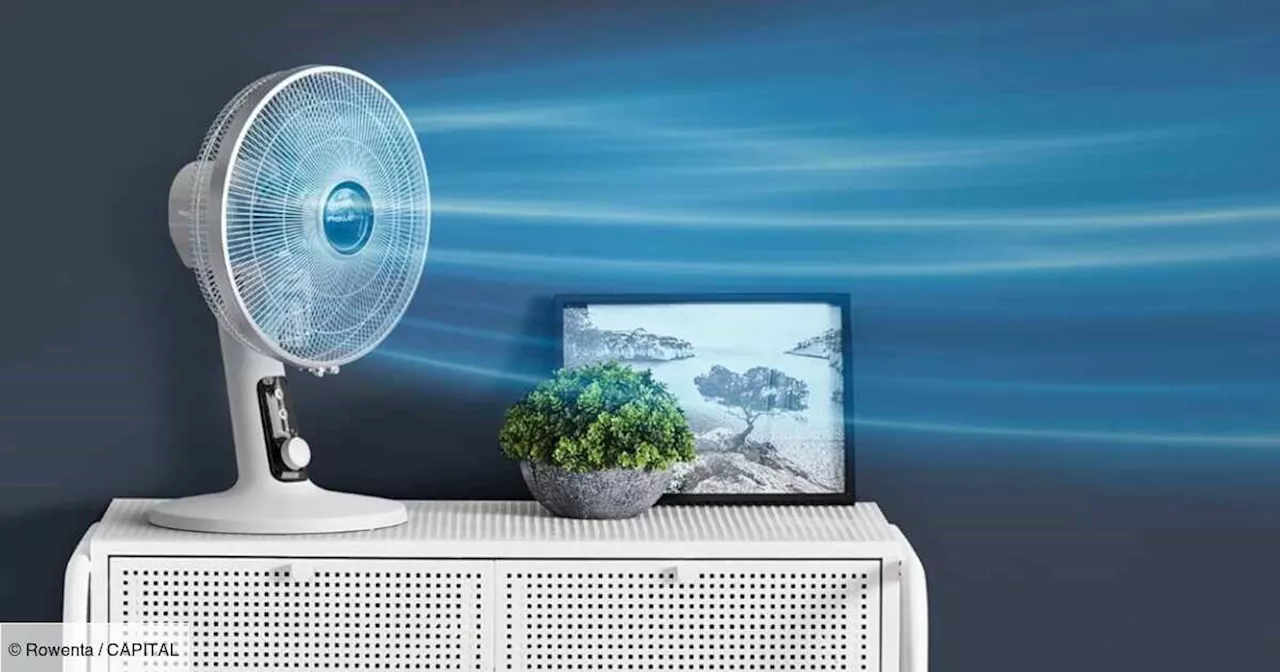 Ventilateur : ces 2 bons plans Rowenta connaissent un gros succès chez Amazon (jusqu'à -31%)