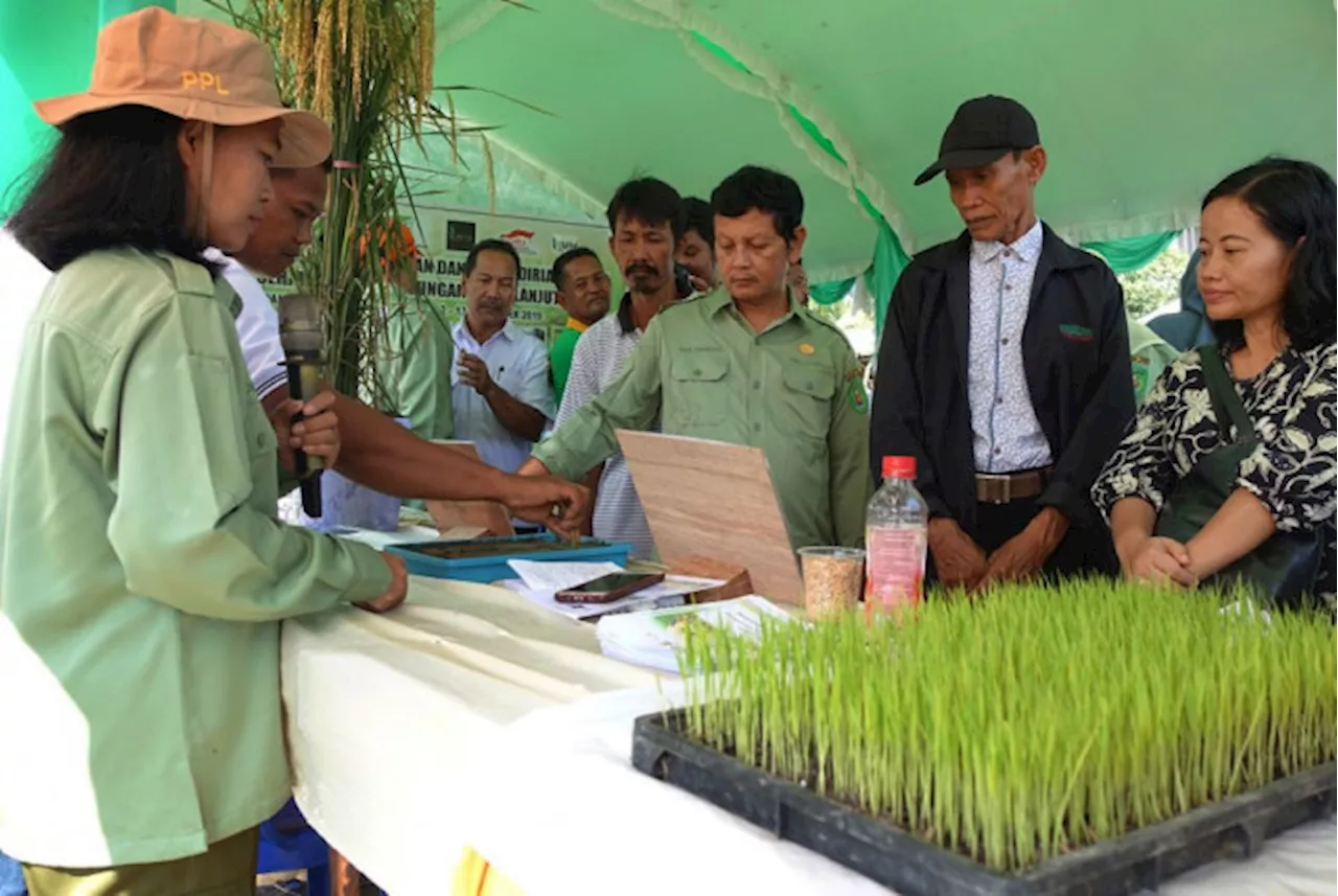 Bapanas Komitmen Dorong Pengembangan UMKM Pangan